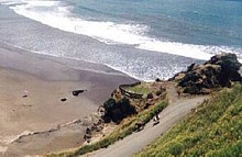 East Coast Beach -  � Paul Norman